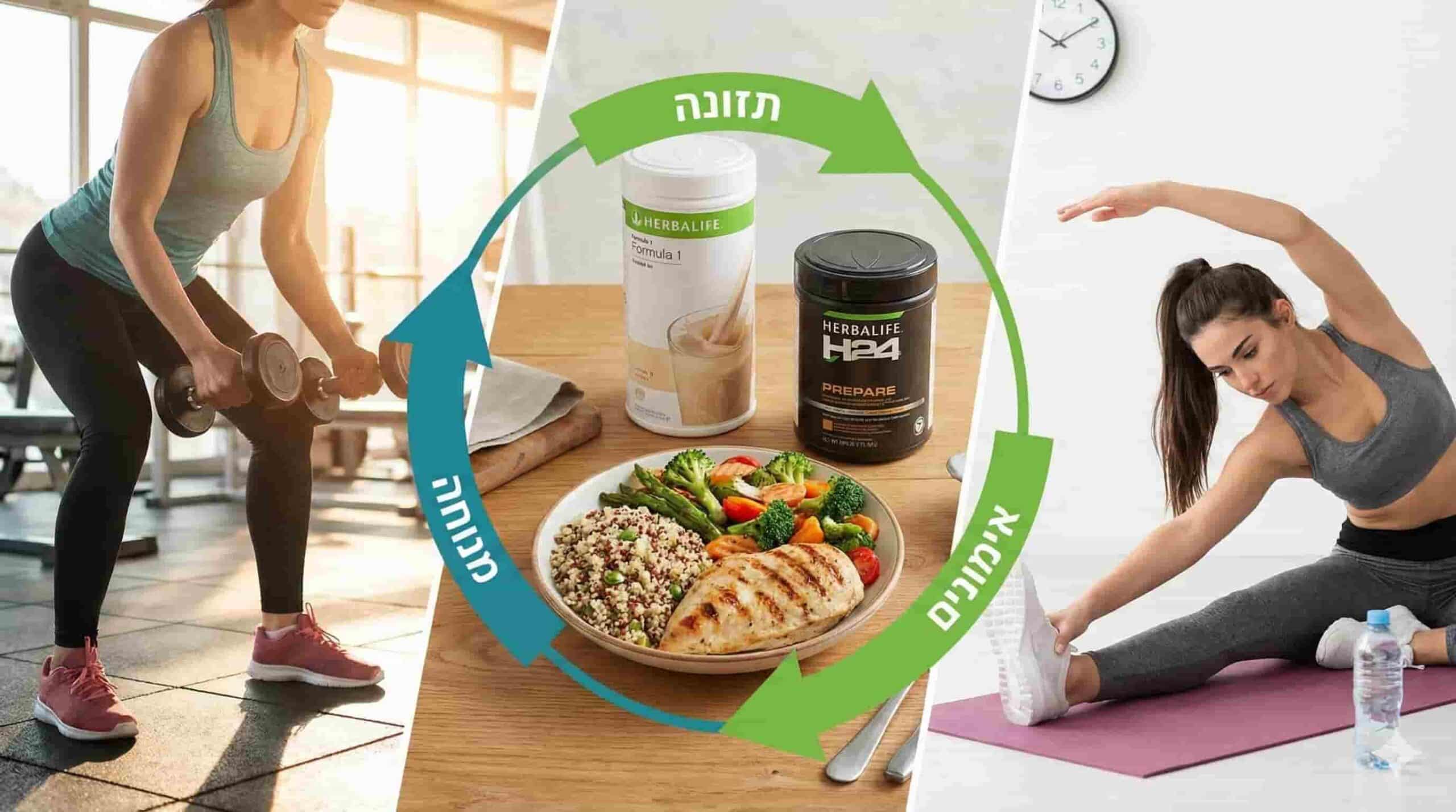 הרבלייף אונליין